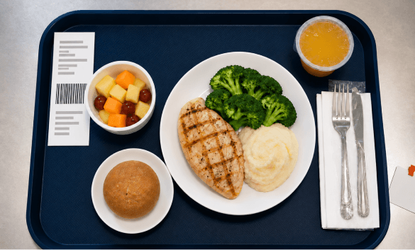 Hospital meal tray before Nutrition AI review